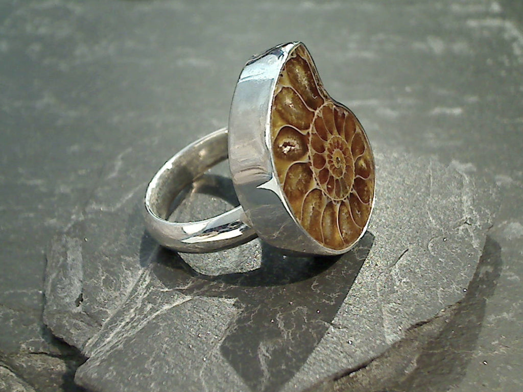 Fossil Mother Of Pearl Men's Jewelry Fossil Mother Of Pearl