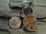Smokey Quartz, Citrine, Fossil Ammonite, Sterling Silver Pendant