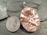Rosetta Lace Agate, Sterling Silver Pendant