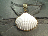 Ark Shell, Alchemia Pendant