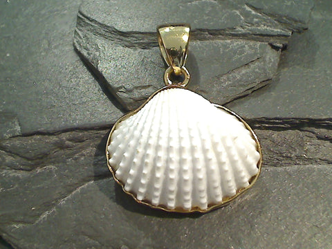 Ark Shell, Alchemia Pendant