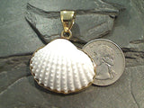 Ark Shell, Alchemia Pendant