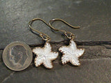 Mother of Pearl, Alchemia Starfish Earrings