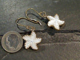 Mother of Pearl, Alchemia Starfish Earrings