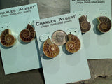 Fossil Ammonite, Alchemia Post Earrings