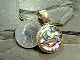 Abalone, Alchemia Pendant