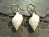 Nassa Clothrata Shell, Alchemia Earrings