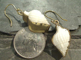 Nassa Clothrata Shell, Alchemia Earrings