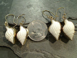 Nassa Clothrata Shell, Alchemia Earrings