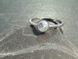 Size 6 Moonstone, Rhodium Plated Sterling Silver Ring