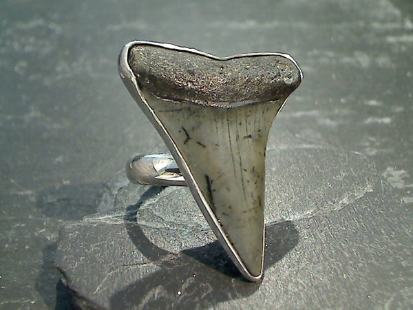 Adjustable Size Fossil Shark Tooth, Fine Sterling Silver Ring