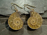 Fossil Ammonite, Alchemia Earrings