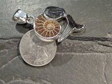 Multi-Fossil, Fine Sterling Silver Pendant