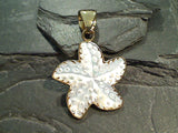 Mother of Pearl, Alchemia Starfish Pendant