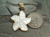 Mother of Pearl, Alchemia Starfish Pendant