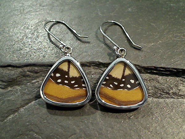 Butterfly Wings, Sterling Silver Earrings - Monarch