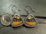 Butterfly Wings, Sterling Silver Earrings - Monarch