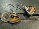 Butterfly Wings, Sterling Silver Earrings - Monarch