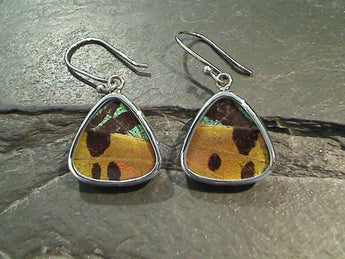 Butterfly Wings, Sterling Silver Earrings - Urania Ripheus