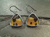 Butterfly Wings, Sterling Silver Earrings - Urania Ripheus