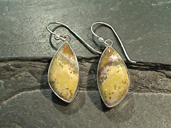 Ocean Jasper, Sterling Silver Earrings