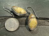 Ocean Jasper, Sterling Silver Earrings