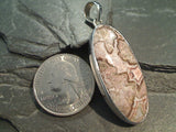 Rosetta Lace Agate, Sterling Silver Pendant