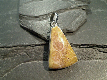 Fossil Coral, Sterling Silver Pendant