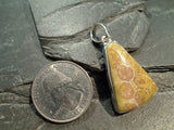 Fossil Coral, Sterling Silver Pendant