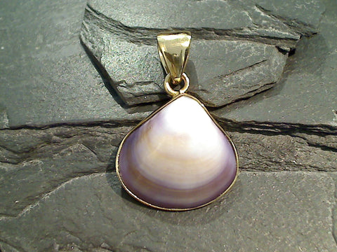 Purple Clam Shell, Alchemia Pendant