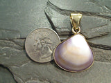 Purple Clam Shell, Alchemia Pendant