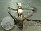 Fossil Shark Tooth, Pearl, Alchemia Pendant