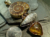 Fossil Ammonite, Orthoceras, Amber, Alchemia Extra Large Pendant