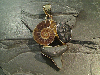 Multi Fossil, Alchemia Pendant