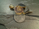 Multi Fossil, Alchemia Pendant
