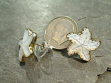 Mother of Pearl, Alchemia Starfish Post Earrings