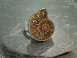 Adjustable Size Fossil Ammonite, Fine Sterling Silver Ring