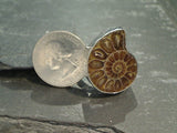 Adjustable Size Fossil Ammonite, Fine Sterling Silver Ring