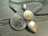 Sea Shell, Pearl, Sterling Silver Pendant