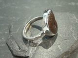 Size 10 Fossil Ammonite, Sterling Silver Ring