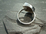 Size 10 Fossil Ammonite, Sterling Silver Ring