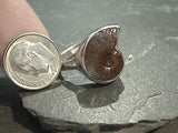 Size 10 Fossil Ammonite, Sterling Silver Ring