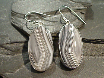 Botawana Agate, Sterling Silver Earrings