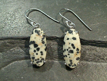 Dalmatian Jasper, Sterling Silver Earrings