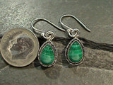 Malachite, Sterling Silver Small Earrings