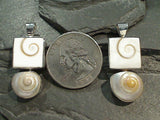 Shiva's Eye Shell, Nautilus Shell, Sterling Silver Pendant