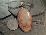 Fossil Coral, Alchemia Extra Large Pendant