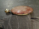 Fossil Coral, Alchemia Extra Large Pendant