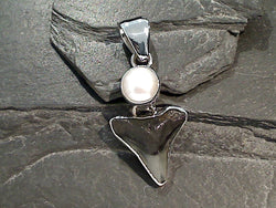 Fossil Shark Tooth, Pearl, Fine Sterling Silver Pendant