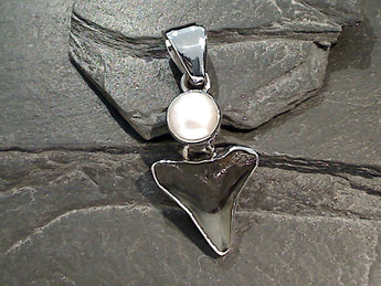 Fossil Shark Tooth, Pearl, Fine Sterling Silver Pendant